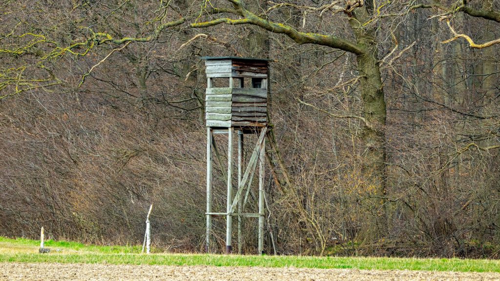 Edge of the forest g9c626abdf